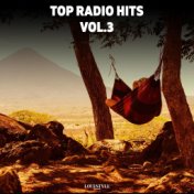 Top Radio Hits Vol. 3