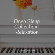 Deep Sleep Collection | Relaxation