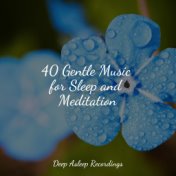 40 Gentle Music for Sleep and Meditation