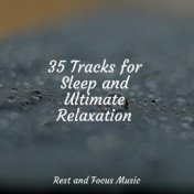 35 Tracks for Sleep and Ultimate Relaxation