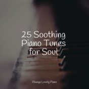 25 Soothing Piano Tunes for Soul