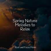 Spring Nature Melodies to Relax