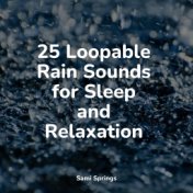 25 Sounds of Rain for Sleep and Relaxation