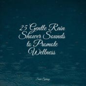 25 Gentle Rain Shower Sounds to Promote Wellness