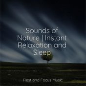 Sounds of Nature | Instant Relaxation and Sleep