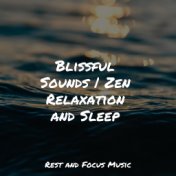 Blissful Sounds | Zen Relaxation and Sleep