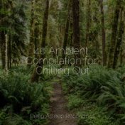 40 Ambient Compilation for Chilling Out