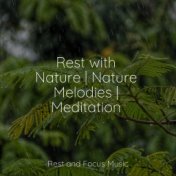 Rest with Nature | Nature Melodies | Meditation