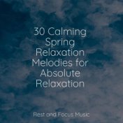 30 Calming Spring Relaxation Melodies for Absolute Relaxation