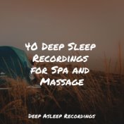 40 Deep Sleep Recordings for Spa and Massage
