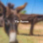 The Baron