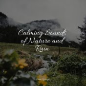 Calming Sounds of Nature and Rain