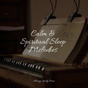 Calm & Spiritual Sleep Melodies