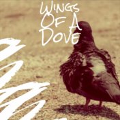 Wings Of A Dove