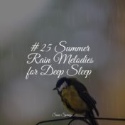 #25 Summer Rain Melodies for Deep Sleep
