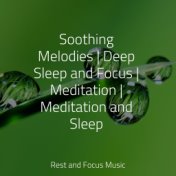 Soothing Melodies | Deep Sleep and Focus | Meditation | Meditation and Sleep