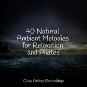 40 Natural Ambient Melodies for Relaxation and Pilates
