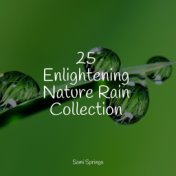 25 Enlightening Nature Rain Collection