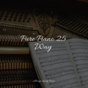 Pure Piano 25 Way