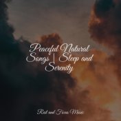 Peaceful Natural Songs | Sleep and Serenity