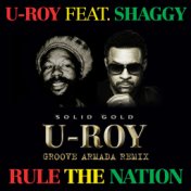 Rule The Nation (feat. Shaggy) (Groove Armada Remix)