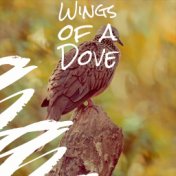 Wings of a Dove