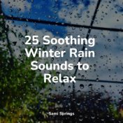 25 Soothing Winter Rain Sounds to Relax