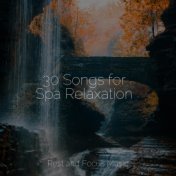 30 Songs for Spa Relaxation