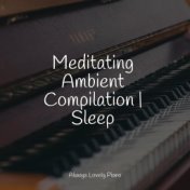 Meditating Ambient Compilation | Sleep