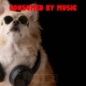Consumed by Music
