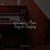 25 Calming Piano Songs for Studying