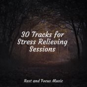 30 Tracks for Stress Relieving Sessions