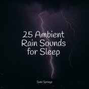 25 Ambient Rain Sounds for Sleep
