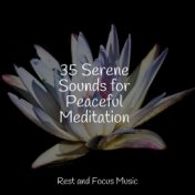 35 Serene Sounds for Peaceful Meditation