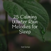 25 Calming Winter Rain Melodies for Sleep