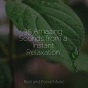 35 Amazing Sounds from a Instant Relaxation