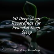 40 Deep Sleep Recordings for Peaceful Deep Sleep