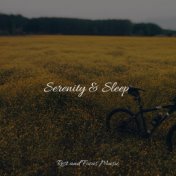 Serenity & Sleep