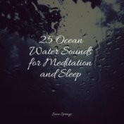 25 Ocean Water Sounds for Meditation and Sleep