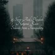 25 Sleep Aid Playlist: Natural Rain Sounds from Tranquility
