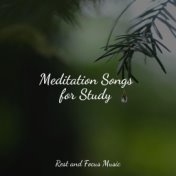 Meditation Songs for Study