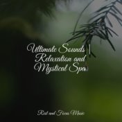 Ultimate Sounds | Relaxation and Mystical Spa