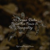 35 Serene Delta Beats For Peace & Tranquility