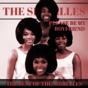 Please Be My Boyfriend (The Best of the Shirelles)