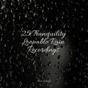 25 Tranquility Loopable Rain Recordings