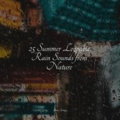 25 Summer Loopable Rain Sounds from Nature