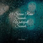 25 Serene Rain Sounds: Waterfall Sounds