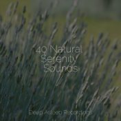 40 Natural Serenity Sounds