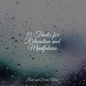 35 Tracks for Relaxation and Mindfulness
