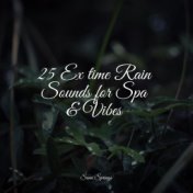 25 Ex time Rain Sounds for Spa & Vibes